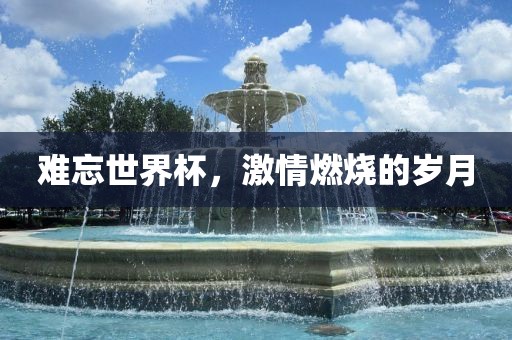难忘世界杯，激情燃烧的岁月