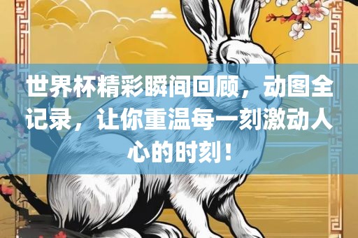 世界杯精彩瞬间回顾，动图全记录，让你重温每一刻激动人心的时刻！