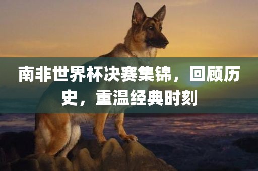 南非世界杯决赛集锦，回顾历史，重温经典时刻