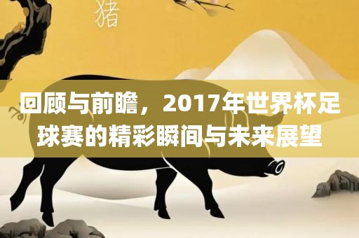 回顾与前瞻，2017年世界杯足球赛的精彩瞬间与未来展望眉山市正发家政服务有限公司