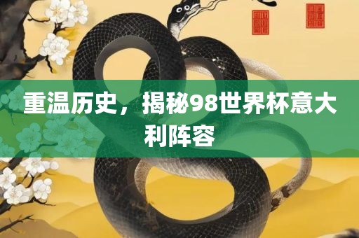 重温历史，揭秘98世界杯意大利阵容