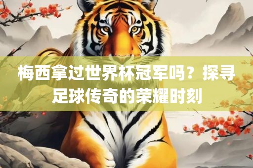 梅西拿过世界杯冠军吗？探寻足球传奇的荣耀时刻眉山市正发家政服务有限公司