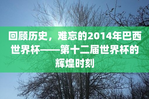 回顾历史，难忘的2014年巴西世界杯——第十二届世界杯的辉煌时刻眉山市正发家政服务有限公司