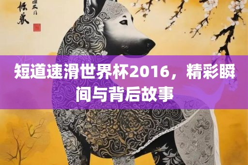 短道速滑世界杯2016，精彩瞬间眉山市正发家政服务有限公司与背后故事