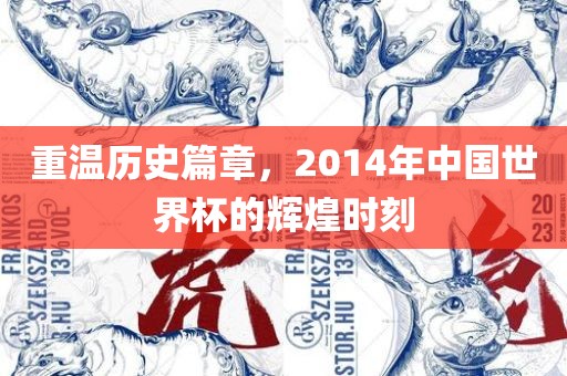 重温历史篇章，20眉山市正发家政服务有限公司14年中国世界杯的辉煌时刻