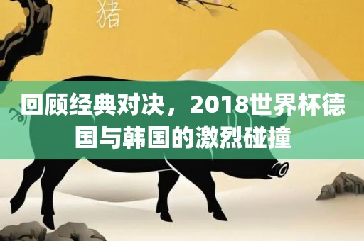 德国与韩国对决