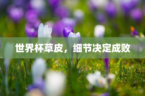 世界杯草皮，细节决定成败眉山市正发家政服务有限公司