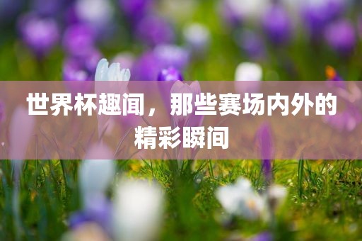 世界杯趣闻，那些赛场内外的精彩瞬间