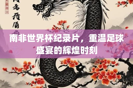 南非世界杯纪录片，重温足球盛宴的辉煌时刻