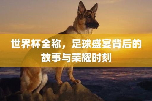 世界杯全称，足球盛宴背后的故事与荣耀时刻眉山市正发家政服务有限公司