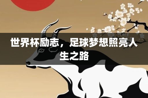 足球梦想