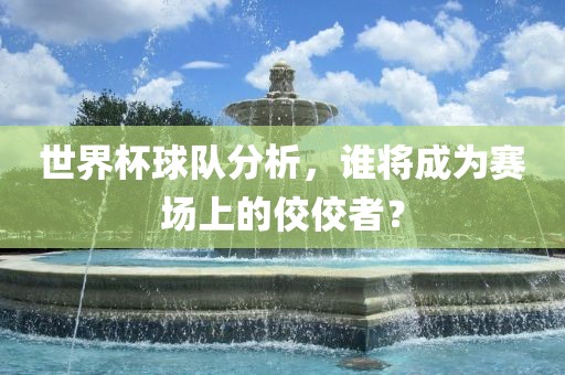 世界杯球队分析，谁将成为赛场上的佼佼者？