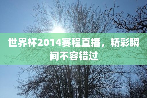 世界杯2014赛程直播，精彩瞬间不容错过眉山市正发家政服务有限公司