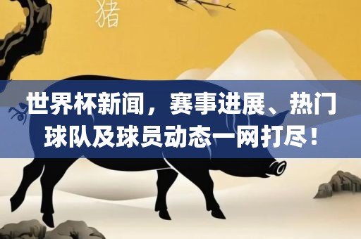 世界杯新闻，赛事进展、热门球队及球员动态一网打尽！眉山市正发家政服务有限公司