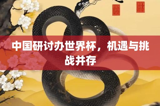 中国研讨办世界杯，机遇与挑战并存