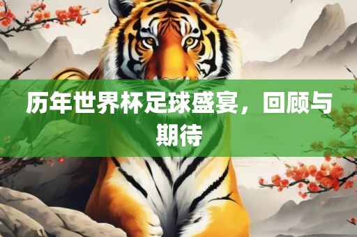 历年世界杯足球盛宴，回顾与期待眉山市正发家政服务有限公司