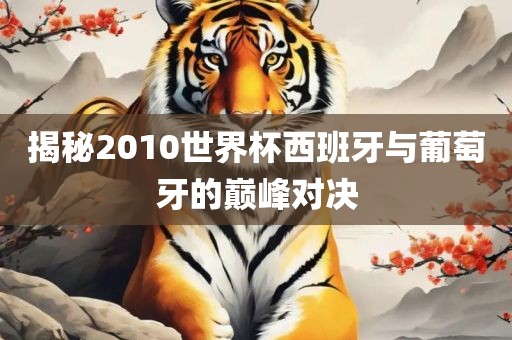 揭秘2010世界杯西班牙与葡萄牙的巅峰对决