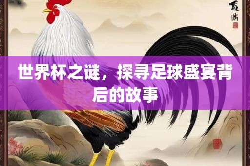足球盛宴背后的故事 第4页