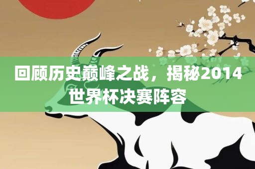 回顾历史巅峰之战，揭秘2014世界杯决赛阵容眉山市正发家政服务有限公司