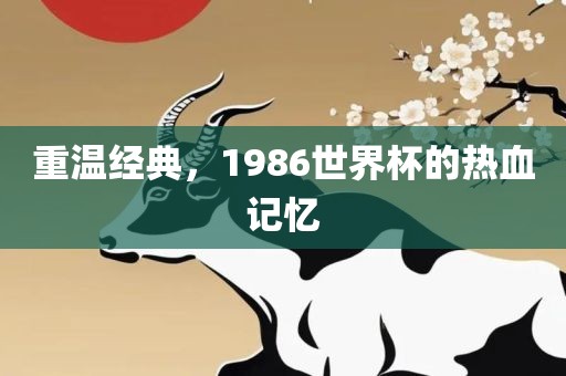 重温经典，1986世界杯的热血记忆