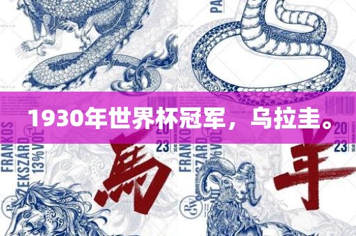 1930年世界杯冠军，乌拉圭。眉山市正发家政服务有限公司