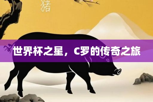 世界杯之星，C罗的传奇之旅