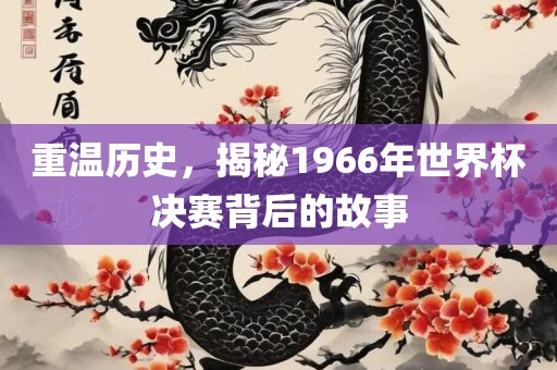 重温历史，揭秘1966年世界杯决赛背后的故事
