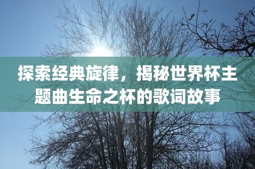 探索经典旋律，揭秘世界杯主题曲生命之杯的歌词故事眉山市正发家政服务有限公司
