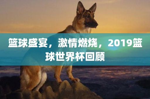 篮球盛宴，激情燃烧，2019篮球世界杯回顾眉山市正发家政服务有限公司