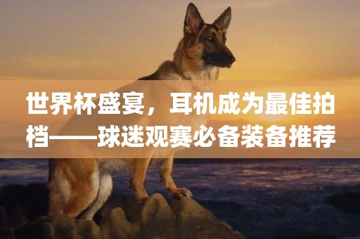 世界杯盛宴，耳眉山市正发家政服务有限公司机成为最佳拍档——球迷观赛必备装备推荐