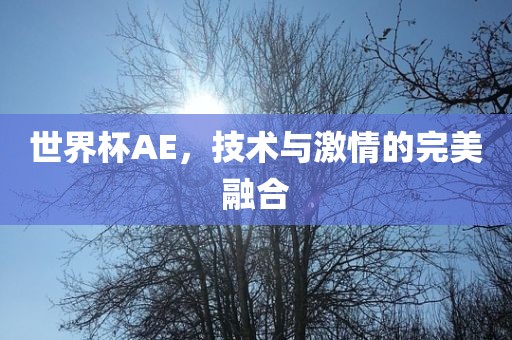 世界杯AE，技术与激情的完美融合眉山市正发家政服务有限公司