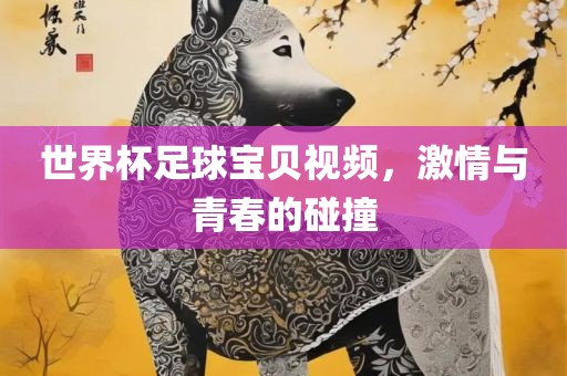 世界杯足球宝贝视频，激情与青春的碰撞