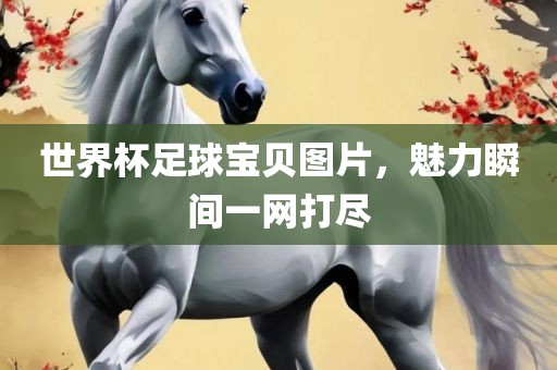 世界杯足球宝贝图片，魅力瞬间一网打尽