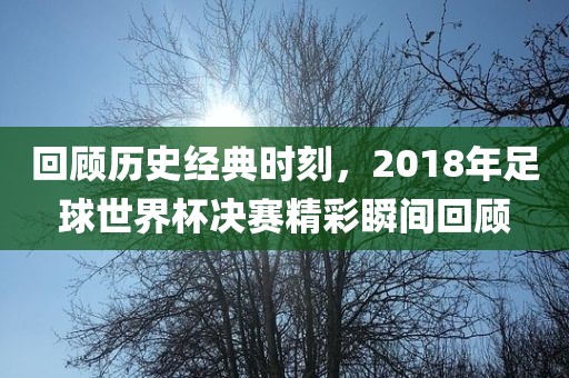 回顾历史经典时刻，2018年足球世界杯决赛精彩瞬间回顾眉山市正发家政服务有限公司