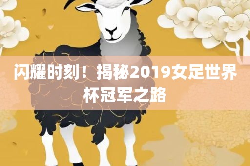 闪耀时刻！揭秘2019女足世界杯冠军之路眉山市正发家政服务有限公司
