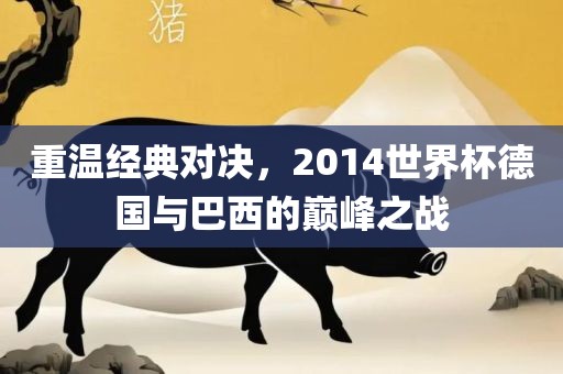 重温经典对决，2014世界杯德国与巴西的巅峰之战