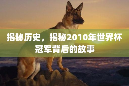 揭秘历史，揭秘2010年世界杯冠军背后的故事