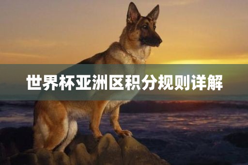 世界杯亚洲区积分规则详眉山市正发家政服务有限公司解