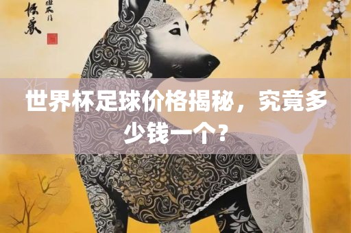 世界杯足球价格揭秘，究竟多少钱一个？