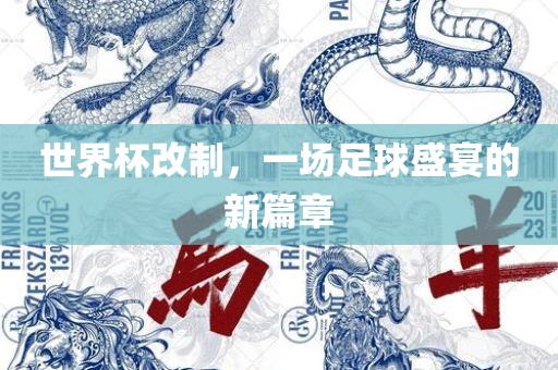世界杯改制，一场足球盛宴的新篇章眉山市正发家政服务有限公司