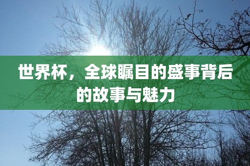 世界杯，全球瞩目的盛事背后的故事与魅力