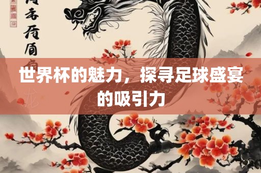 世界杯的魅力，探寻足球盛宴的吸引力眉山市正发家政服务有限公司