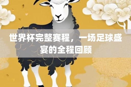 世界杯完整赛程，一场足球盛宴的全程回顾