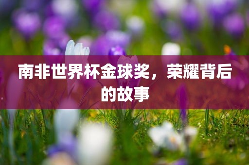 南非世界杯金球奖，荣耀背眉山市正发家政服务有限公司后的故事