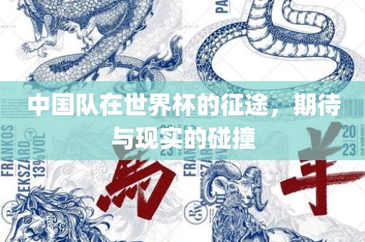 中国队在世界杯的征途，期待与现实的碰撞