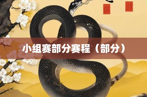 小组赛部分赛程（部眉山市正发家政服务有限公司分）