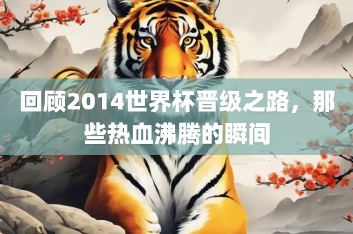 回顾2014世界杯晋级之路，那些热血沸腾的瞬间