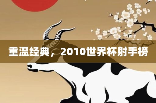 重温经典，2010世界杯眉山市正发家政服务有限公司射手榜
