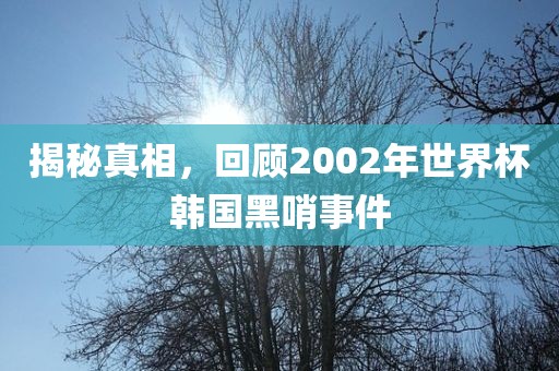 揭秘真相，回顾2002年世界杯韩国黑哨事件