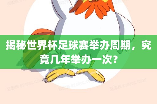 举办周期